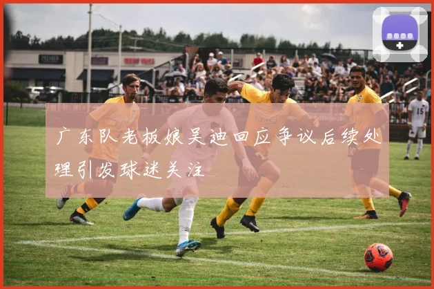 广东队老板娘吴迪回应争议后续处理引发球迷关注